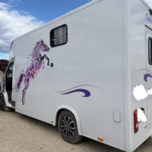 VL FIAT DUCATO 2 CHEVAUX