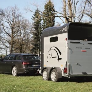CHEVAL LIBERTE – 2 PLACES – GOLD 3