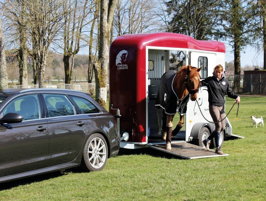 Van Cheval Liberté 2pl touring – Image 3