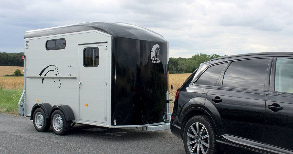CHEVAL LIBERTE – MULTIMAX NEUF – Image 2
