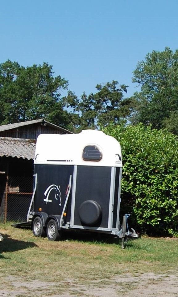 VAN CHEVAL LIBERTÉ 1,5 place occasion
