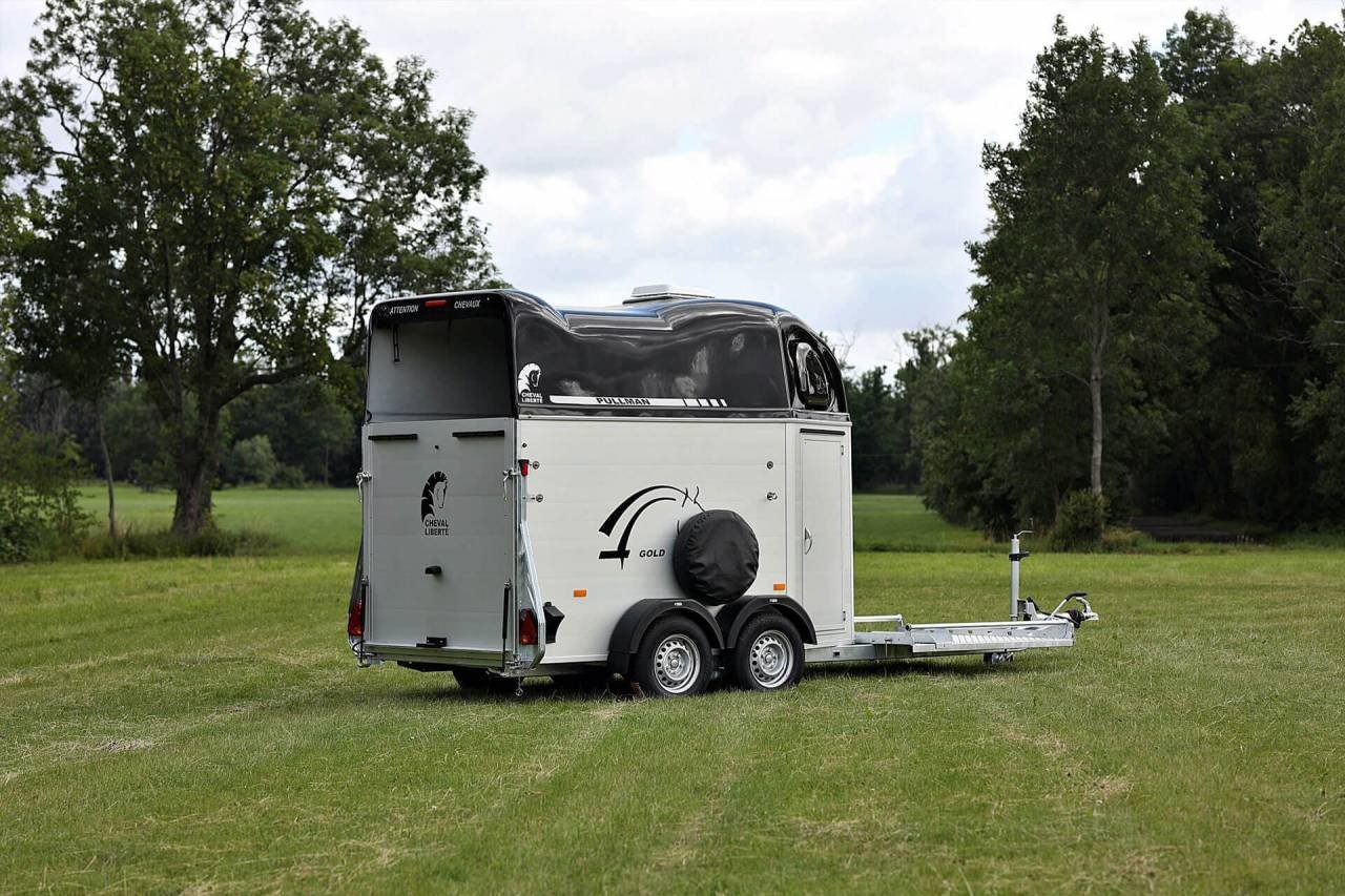 CHEVAL LIBERTE – HIPPOMOBILE NEUF – Image 3