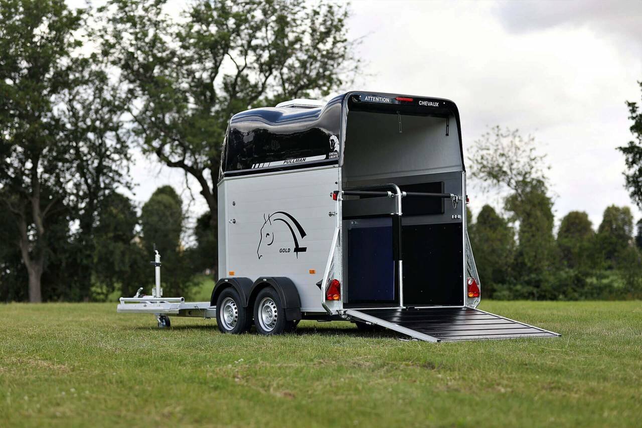 CHEVAL LIBERTE – HIPPOMOBILE NEUF – Image 11